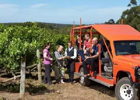 澳洲产葡萄酒平衡度如何,澳大利亚葡萄酒出色年份