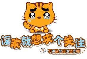 新手养猫指南养猫知识分享,第一次养猫新手必看的养猫攻略