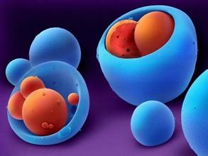 非典时期神药,抗非典特效药