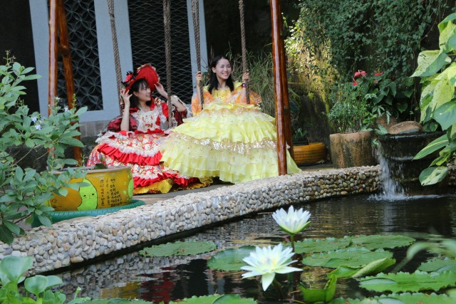 广州莲花山睡莲池,广州市莲花山睡莲