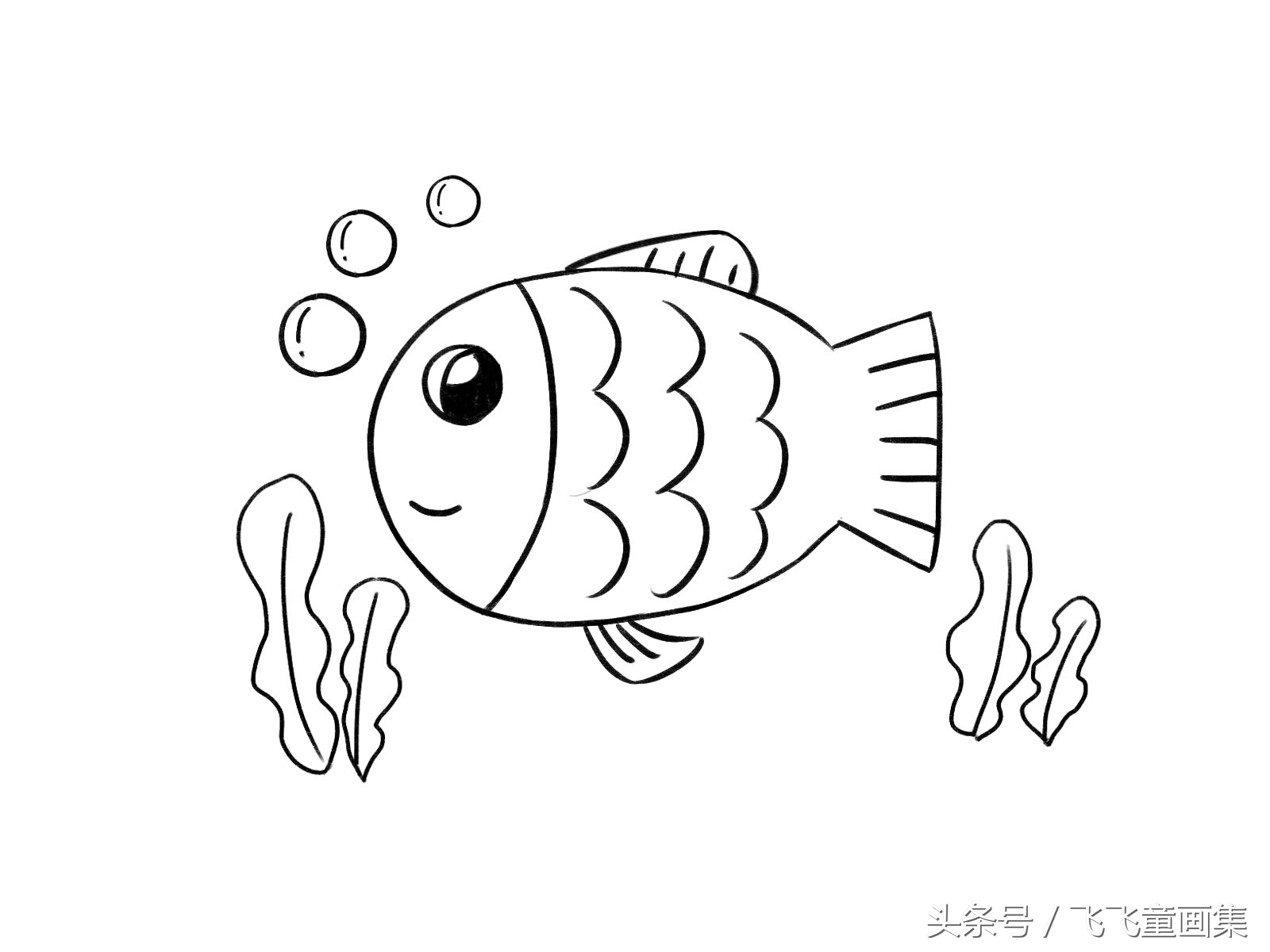鱼的简笔画又可爱又简单的小鱼,小鱼海洋动物简笔画简单又好看