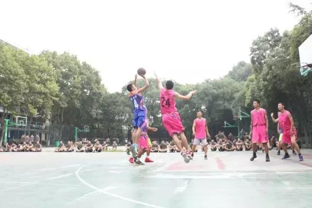 军训教给我的道理,军训教哪几个科目