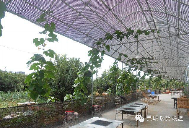 板扎昆明,板扎云南烧烤