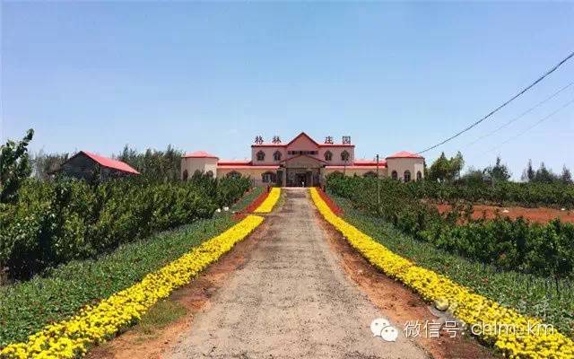 板扎昆明,板扎云南烧烤