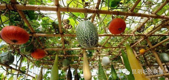 板扎昆明,板扎云南烧烤