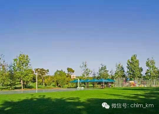 板扎昆明,板扎云南烧烤