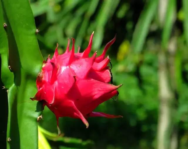 合肥市国庆期间有哪些亮点,合肥国庆七天怎么安排