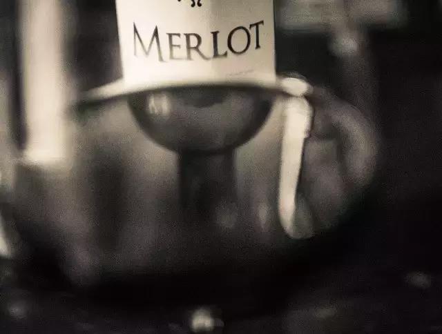 最有营养的葡萄品种,果香味浓郁的葡萄品种