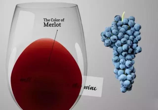 最有营养的葡萄品种,果香味浓郁的葡萄品种