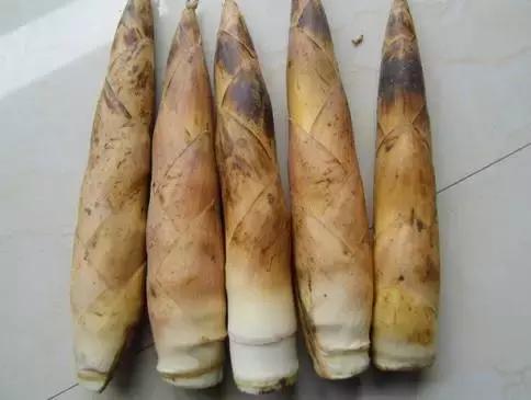 健康养生食物你学会了吗,24种健康养生的食物