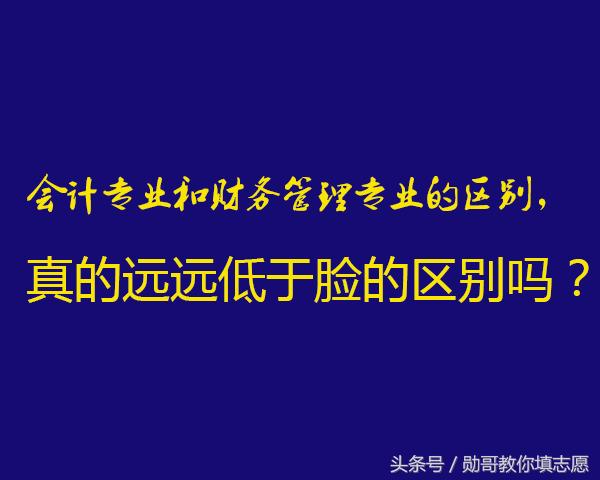 会计和财务管理专业的区别,会计专业和财务的区别