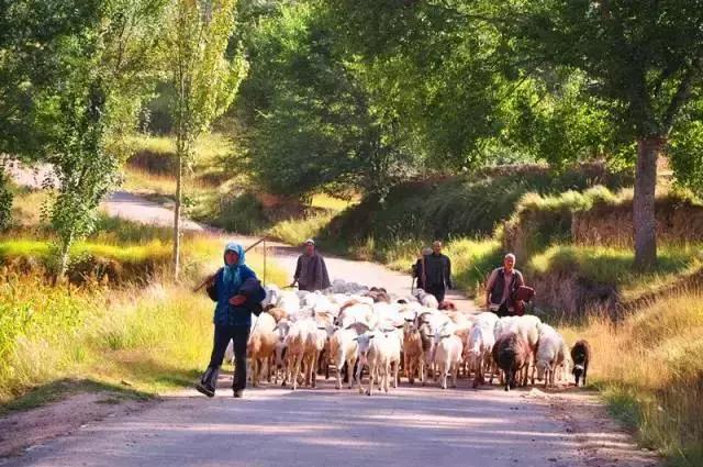 山沟沟里的风景最美,西北山沟沟景区