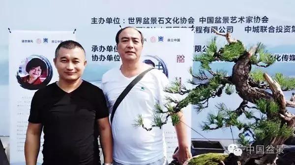 盆景制作与市场,盆景行业的内幕