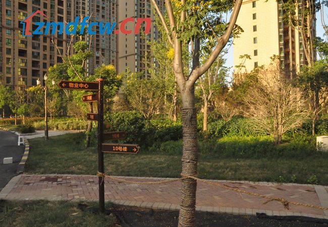 小Y看房记之天中国际实景探访