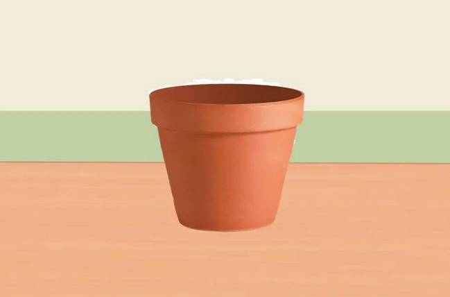 芦荟花烂根还能救活吗,如何救活蔫巴的芦荟