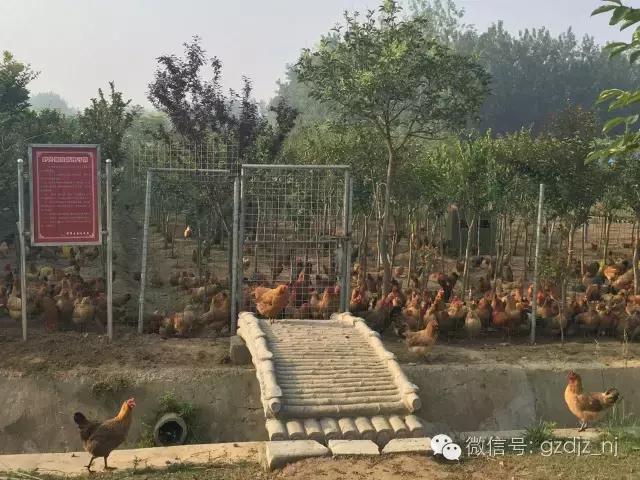 涟水有多美?涟水的美,岂是一句两句能够解释清楚的?