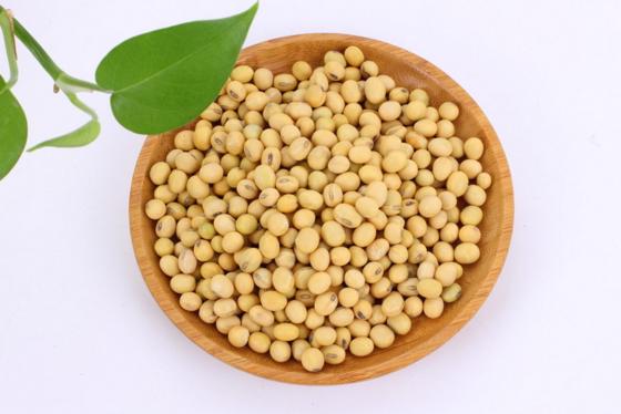 孩子发热处理步骤中医,孩子发热怎么办吃什么药