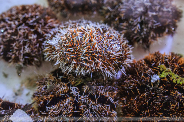 带着婚纱旅行攻略,带着婚纱去旅行拍照