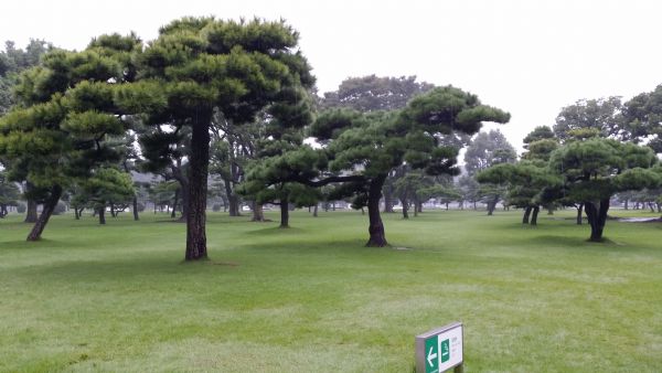 透过细节看本质图片,透过细节看男人的视频