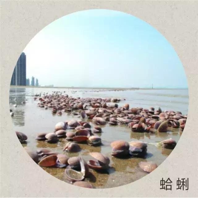 寒露时节美食养生,寒露时节经络养生应以调养为主