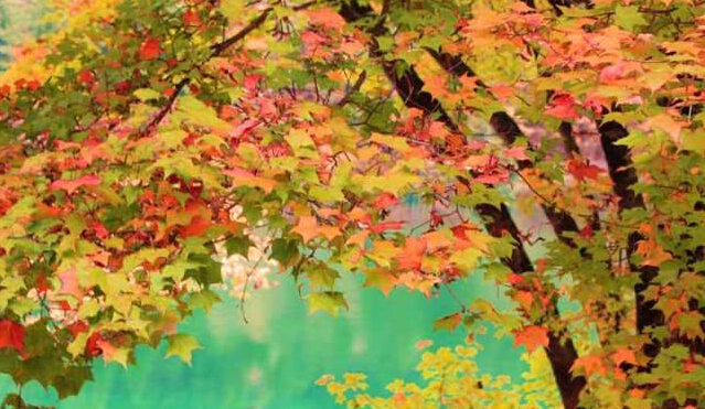 九寨沟现在能去吗,九寨沟怎么去最方便