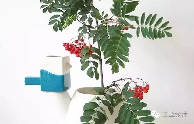 水瓶一样的水壶,冷水壶你见过吗