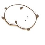 养一只荷兰猪需要花多少钱,养两只荷兰猪一个月需要多少钱