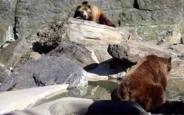 丑哭了!谷歌新旗舰手机拍照狂虐苹果三星,外观设计就是灾难