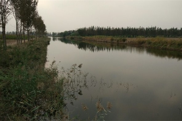 鱼塘钓鲫鱼最佳方法,鱼塘钓鲫鱼用什么饵料