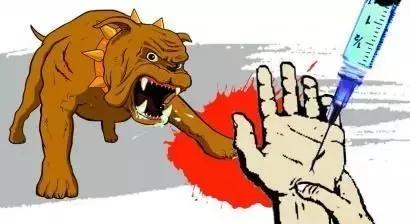 被汪星人咬伤不可小觑，如何自救学起来！