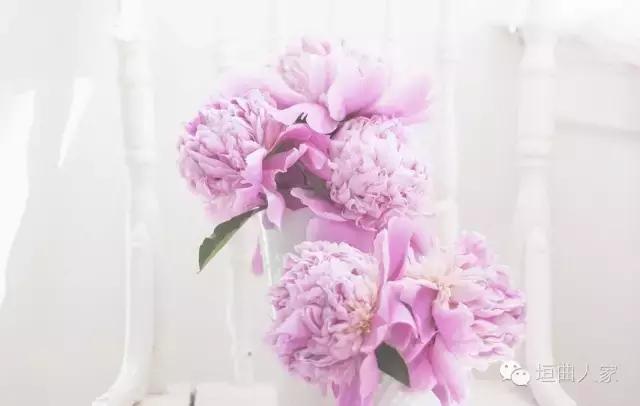 黄冬丽抖音,黄冬丽商丘市