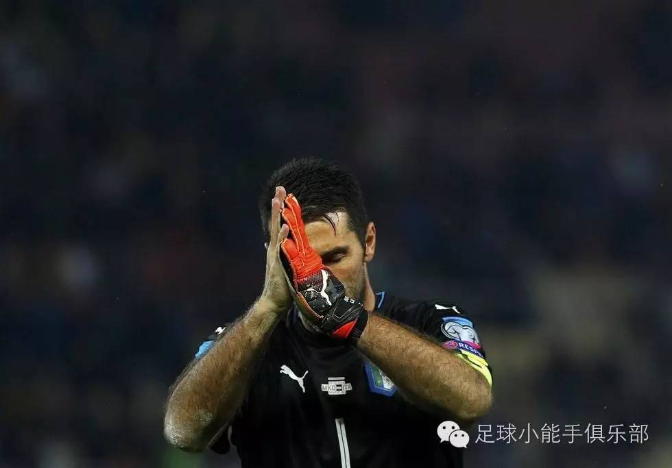 郁金香vs德国,郁金香战争