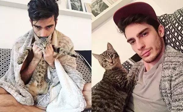 听说养猫的人很有福气吗,听说养猫的男生更容易脱单