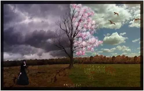 如果你身边人抑郁了,请别只说“想开点”