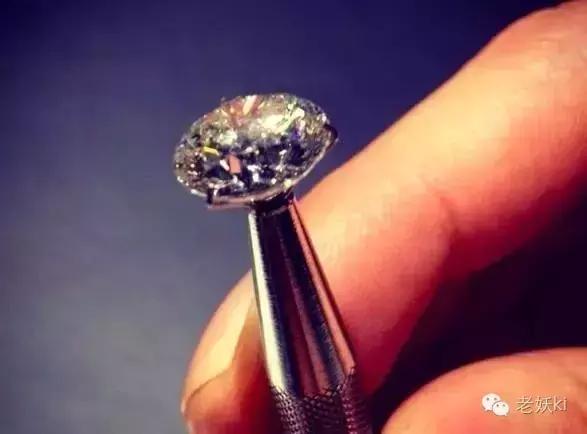 种草|荷兰秋日伴手礼清单