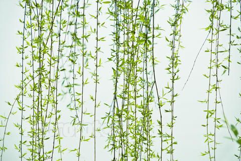 十大驱鬼方式,十种驱鬼方式