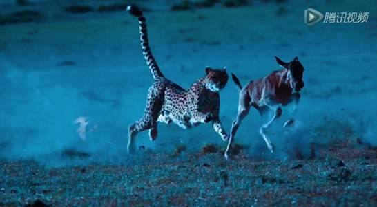 真正男子汉播出网友们的评价,湖南卫视真正男子汉第一季宣传片