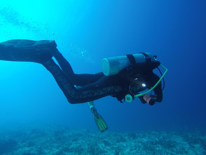 菲律宾潜水攻略 (菲律宾潜水游记)