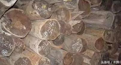 阔叶黄檀知识,阔叶黄檀木俗称