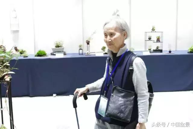 哪些野草适合微型盆景,小品盆景和微型盆景有区别吗