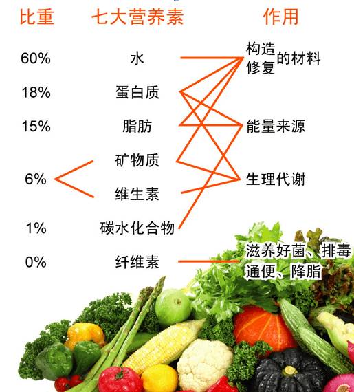 孕期维生素食谱 (孕期维生素补充指南是什么)