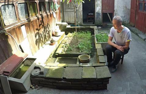 陆龟在室内用什么垫层,陆龟住什么地方