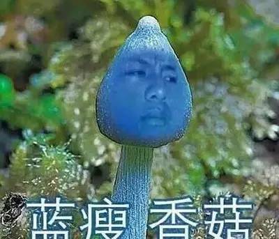 看淘宝好评率,看淘宝好评差评