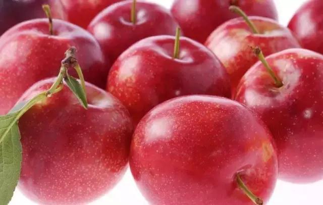 word哥经典剪辑,word哥wwe