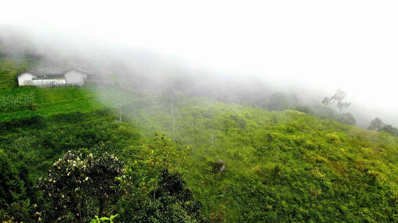 养鸡养羊还养生,德宏的这个地方,去了就不想走了!