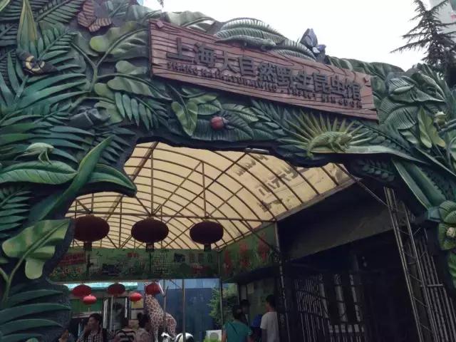 魔都旅游巴士,魔都游玩路线图