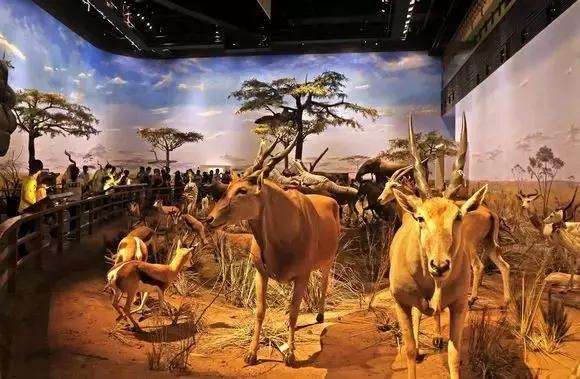 魔都旅游巴士,魔都游玩路线图