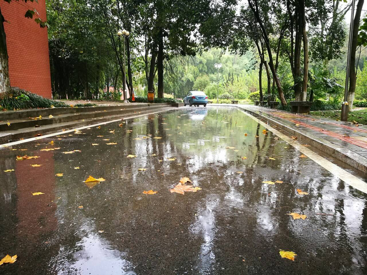 寒露过后天气转凉，除了加衣也要学会祛湿常识哦！