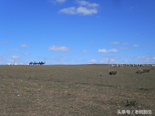 内蒙希拉穆仁草原风景视频,希拉穆仁大草原和内蒙古大草原