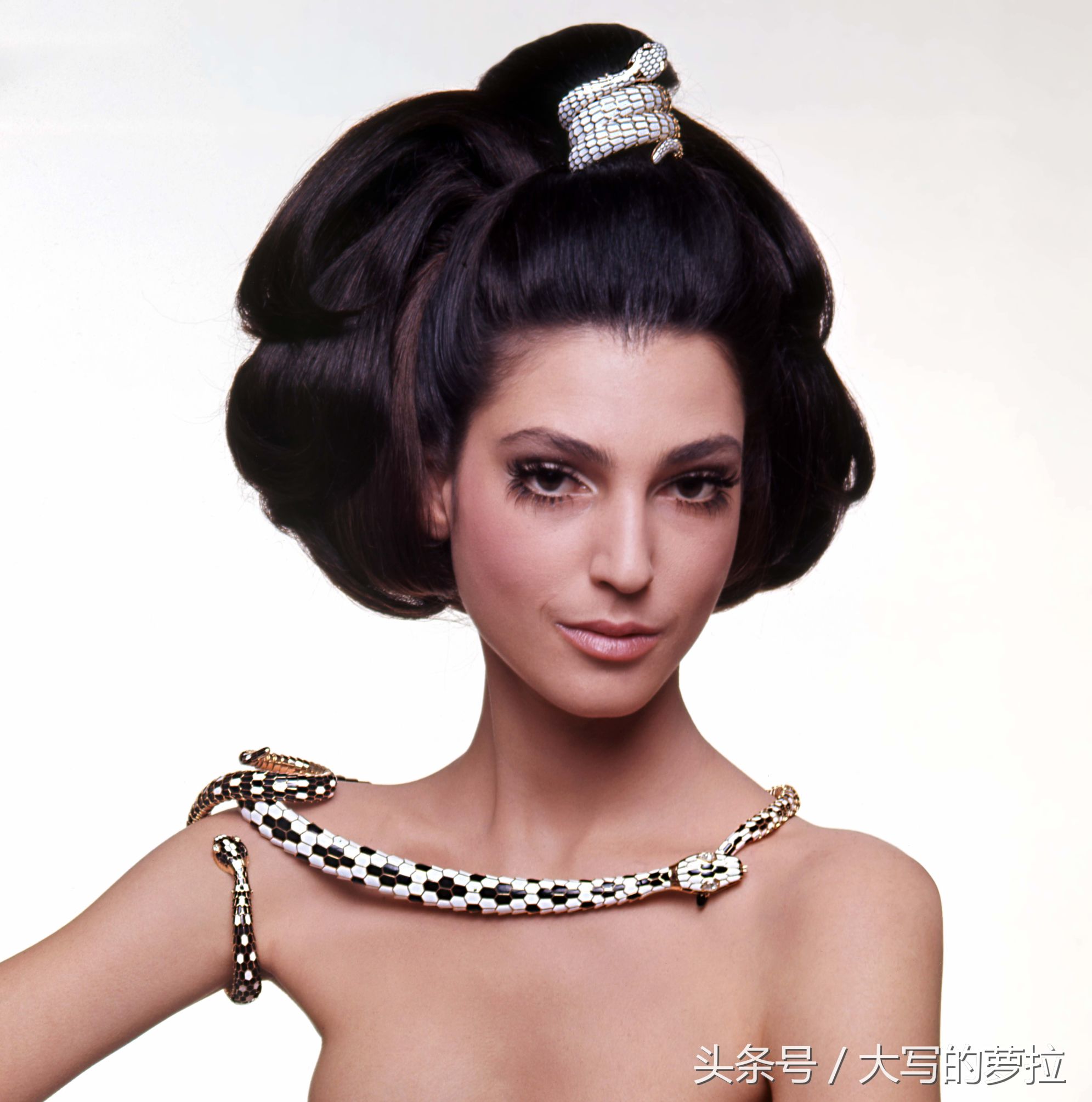 宝格丽璀璨瑰丽系列风格是什么,宝格丽高级珠宝灵蛇之美